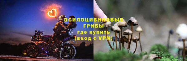 гашиш Няндома