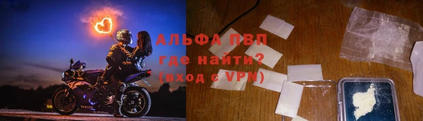 прущие грибы Осинники