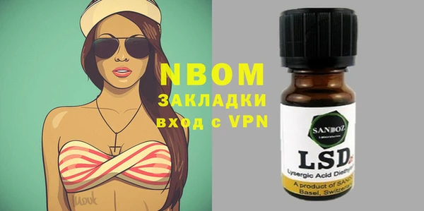 индика Гатчина