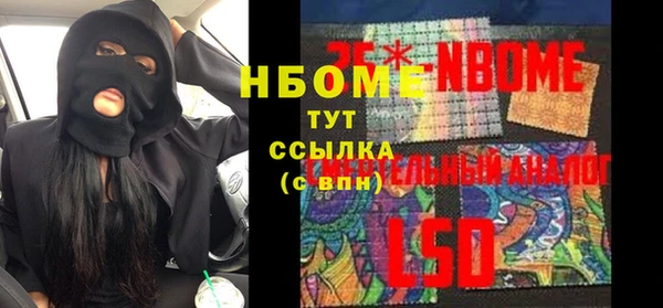 индика Гатчина