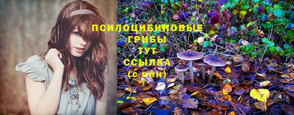 крисы Нязепетровск