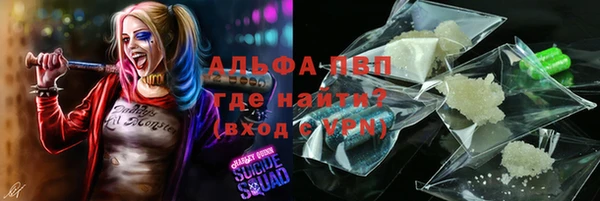 прущие грибы Осинники